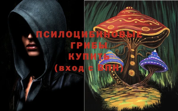 экстази Абаза