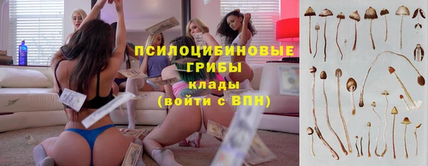 mdma Протвино