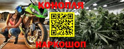 крисы Северобайкальск