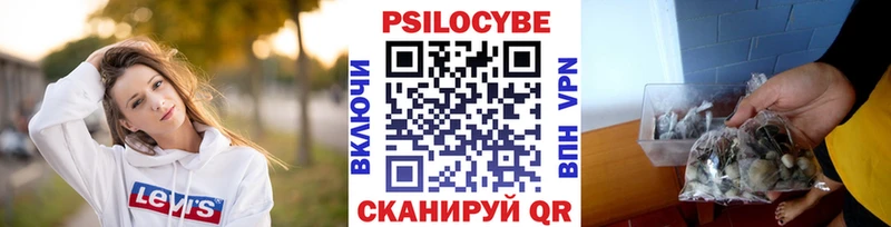 купить наркотики цена  Аксай  Псилоцибиновые грибы мицелий 