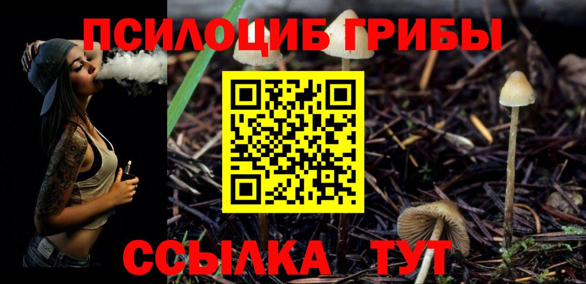 Галлюциногенные грибы Cubensis  Вход с VPN  Аксай 